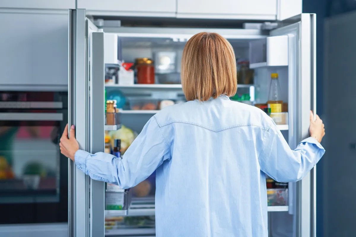 Wie wähle ich einen Kühlschrank aus?